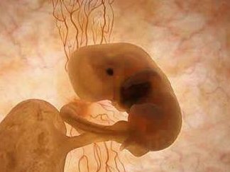 试管反复失败怎么办，一般几次能够成功