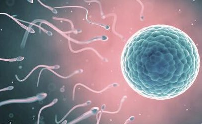 2026年石家庄哪里可以做三代试管？石家庄三代试管医院名单一览！