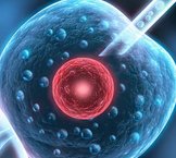 三明市中西医结合医院做三代试管婴儿成功率高不高？什么因素可以影响到试管成功率