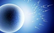 泰国做三代试管婴儿的费用准备多少才足够？