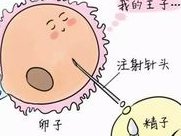 自怀or试管！一起来看看女人50岁怀孕的几率有多大