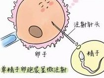 湖州妇幼保健院试管婴儿价格贵吗？具体收费清单请查收