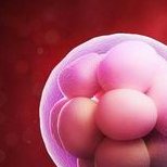 2026兰大一院试管医生名单揭晓，哪个主任好比比才知道