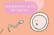 在潍坊做一次试管婴儿需要多少钱？怎么选择试管方案？