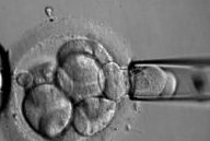 2026年泉州试管婴儿哪家医院好？泉州试管医院推荐