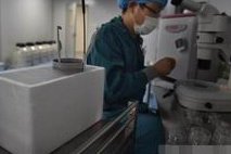 杭州市妇产科医院做试管婴儿要多少钱？(2026杭州费用参考)