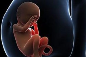 清镇市开展的不孕不育医院有哪些？地址都在哪儿？