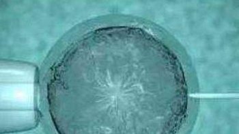 做试管婴儿国内好还是泰国好 主要的区别在哪里